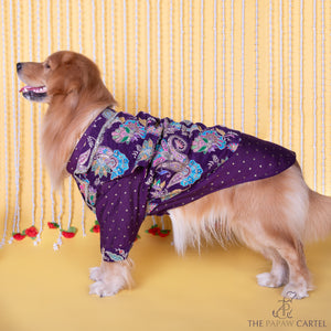 Purple Paisley Motif Embroidered Jacket style koti kurta set for dogs