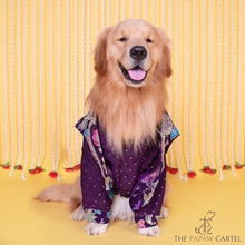 Load image into Gallery viewer, Purple Paisley Motif Embroidered Jacket style koti kurta set for dogs