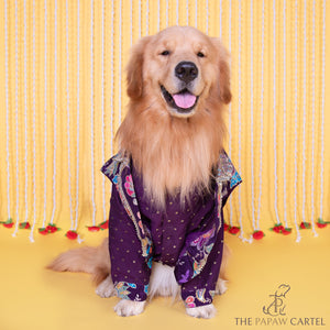 Purple Paisley Motif Embroidered Jacket style koti kurta set for dogs