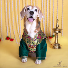 Load image into Gallery viewer, Green Paithani Koti Kurta Set for dogs