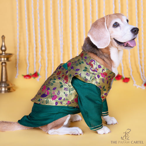 Green Paithani Koti Kurta Set for dogs