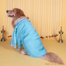 Load image into Gallery viewer, Stylish Zardosi Blue sherwani with dupatta  for dogs