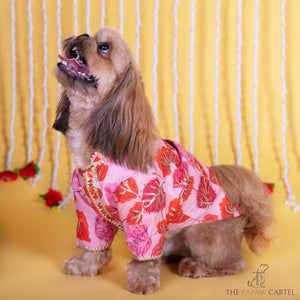 Maple Print Pink Orange Sherwani with Sequins for dogs