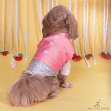 Load image into Gallery viewer, Raw silk ethnic Pink koti with white banarasi kurta  for dogs