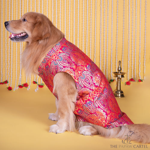 Multicolor Banarasi Brocade sleeveless sherwani with pocket square for dogs