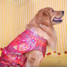 Load image into Gallery viewer, Multicolor Banarasi Brocade sleeveless sherwani with pocket square for dogs