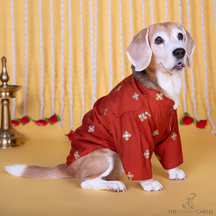 Festive Orange Embroidered Butta Kurta for dogs