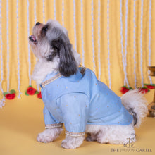 Load image into Gallery viewer, Soft cotton powder blue embellished koti kurta set for dogs