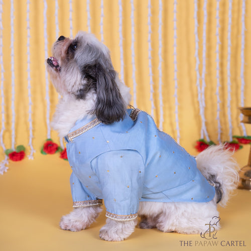 Soft cotton powder blue embellished koti kurta set for dogs