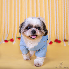 Load image into Gallery viewer, Soft cotton powder blue embellished koti kurta set for dogs