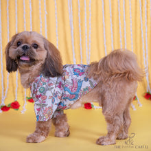 Load image into Gallery viewer, Kalamkari Print Classic Kurta With Zari for dogs