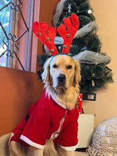 Load image into Gallery viewer, Santa Male Costume for dogs