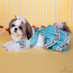 Blue Two Tiered Zardosi Lehenga With Stylish Choli For Dogs
