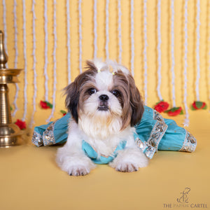 Blue Two Tiered Zardosi Lehenga With Stylish Choli For Dogs