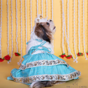 Blue Two Tiered Zardosi Lehenga With Stylish Choli For Dogs
