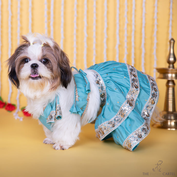 Blue Two Tiered Zardosi Lehenga With Stylish Choli For Dogs