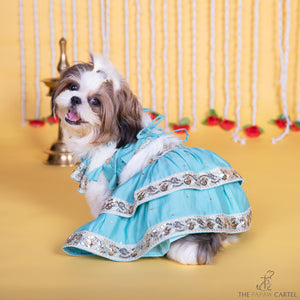 Blue Two Tiered Zardosi Lehenga With Stylish Choli For Dogs