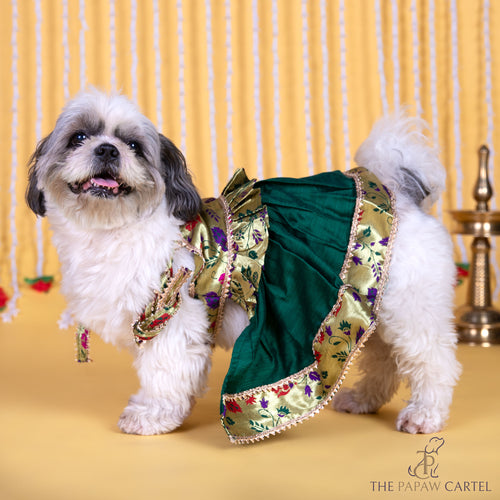 Green paithani tie up dress with gotapati for dogs