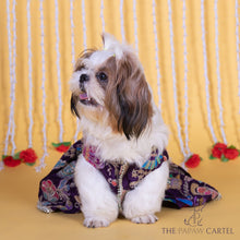 Load image into Gallery viewer, Purple Paisley Motif Embroidered Lehenga Choli for dogs