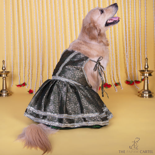 Classic Brocade green lehenga choli with mirror embellishment for dogs