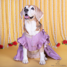 Load image into Gallery viewer, Lilac Embroidered Indian Angarkha for dogs