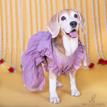 Load image into Gallery viewer, Lilac Embroidered Indian Angarkha for dogs