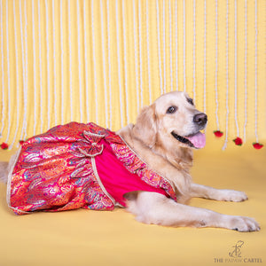 Multicolor Banarasi Brocade festive dress with bow for dogs