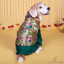 Load image into Gallery viewer, Green Paithani Koti Kurta Set for dogs