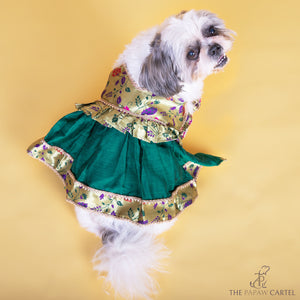Green paithani tie up dress with gotapati for dogs