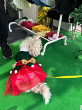 Load image into Gallery viewer, Elf Female Costume for dogs