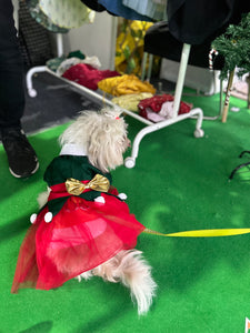 Elf Female Costume for dogs