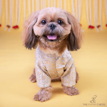 Load image into Gallery viewer, Ivory Banarasi Sherwani for dogs