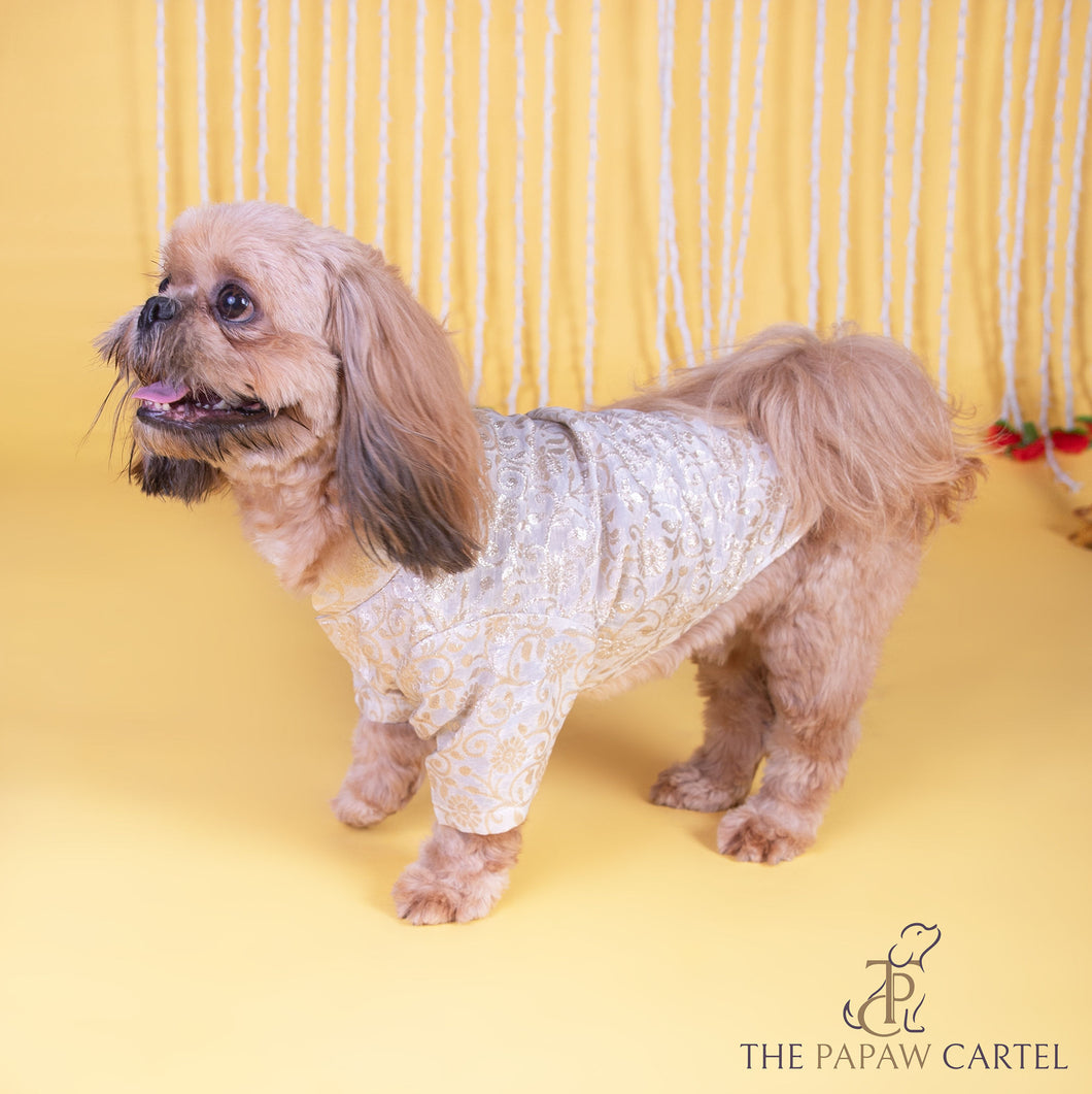 Ivory Banarasi Sherwani for dogs