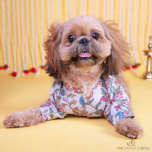Kalamkari Print Classic Kurta With Zari for dogs