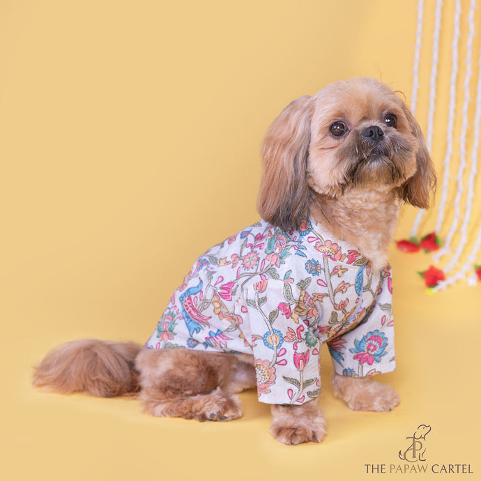 Kalamkari Print Classic Kurta With Zari for dogs