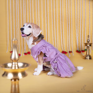 Lilac Embroidered Indian Angarkha for dogs