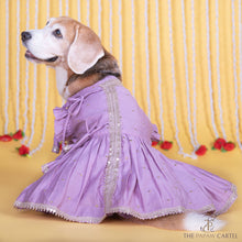 Load image into Gallery viewer, Lilac Embroidered Indian Angarkha for dogs