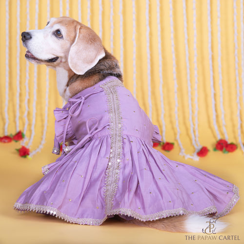 Lilac Embroidered Indian Angarkha for dogs