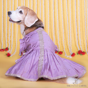 Lilac Embroidered Indian Angarkha for dogs