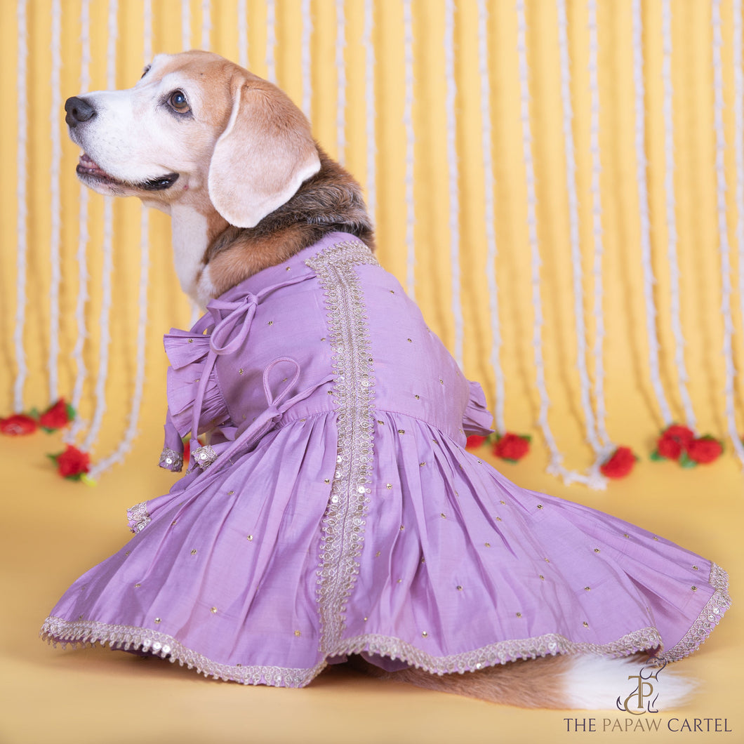 Lilac Embroidered Indian Angarkha for dogs