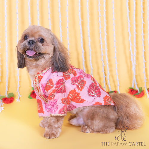 Maple Print Pink Orange Sherwani with Sequins for dogs