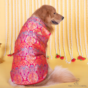 Multicolor Banarasi Brocade sleeveless sherwani with pocket square for dogs