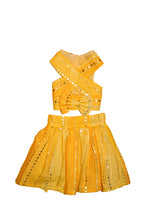 Load image into Gallery viewer, Sunshine ghagra choli with mirror embroidery For Dogs