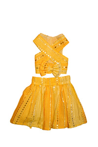 Sunshine ghagra choli with mirror embroidery For Dogs