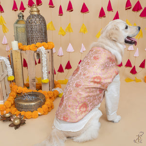 Pink & Golden Brocade Koti Kurta