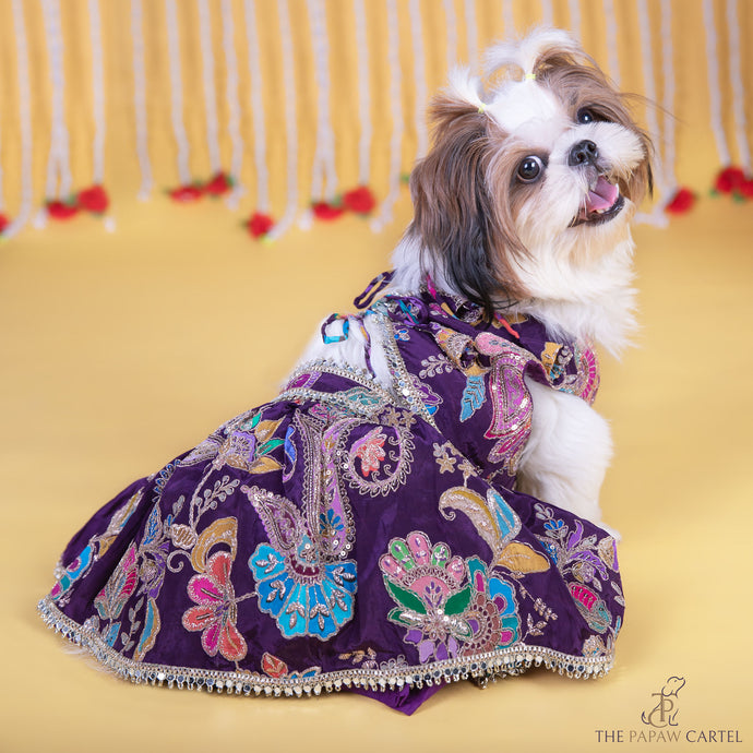 Purple Paisley Motif Embroidered Lehenga Choli for dogs