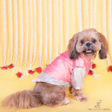 Load image into Gallery viewer, Raw silk ethnic Pink koti with white banarasi kurta  for dogs