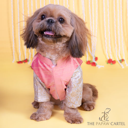 Raw silk ethnic Pink koti with white banarasi kurta  for dogs