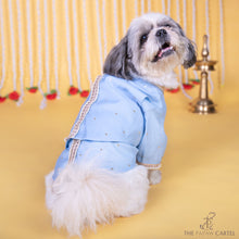 Load image into Gallery viewer, Soft cotton powder blue embellished koti kurta set for dogs