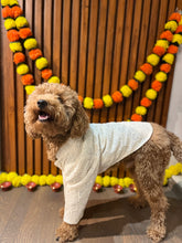Load image into Gallery viewer, Chikankari Sherwani For Dogs
